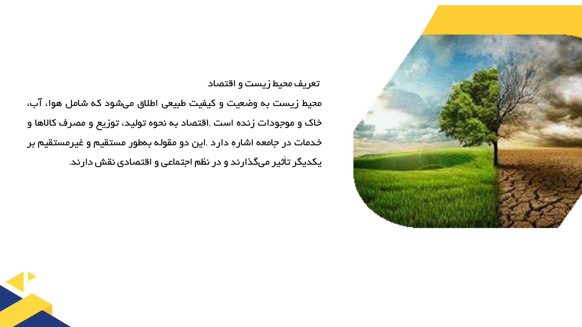 پاورپوینت در مورد بررسی رابطه بین محیط زیست و اقتصاد